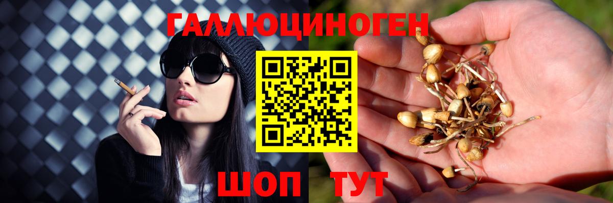Псилоцибиновые грибы мухоморы Сухой Лог